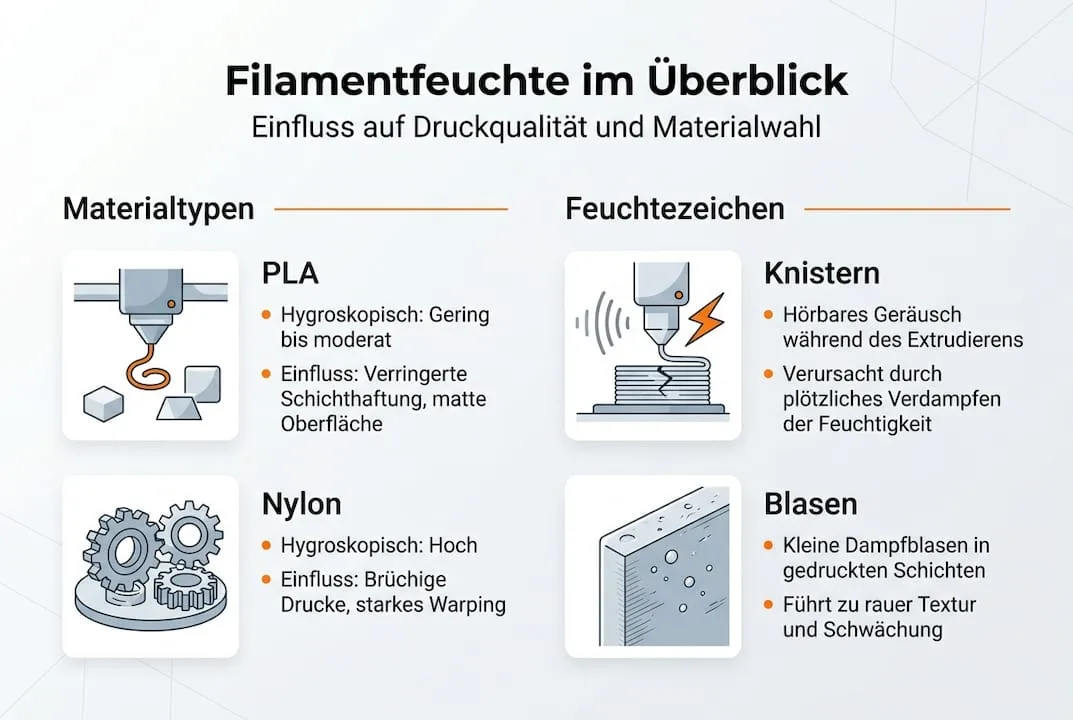 Übersichtliche Grafik: Das Wichtigste zur Feuchtigkeit von Filamenten auf einen Blick